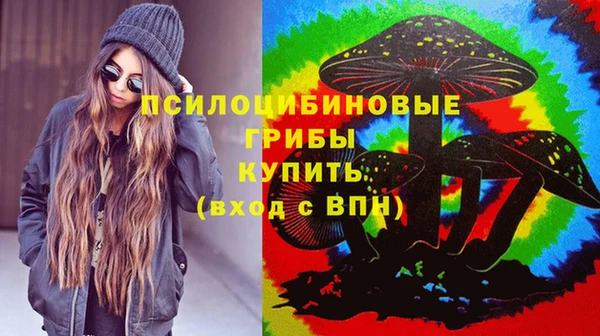 ПСИЛОЦИБИНОВЫЕ ГРИБЫ Абдулино
