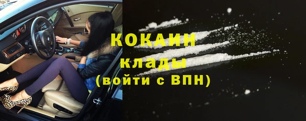 гидра Абаза