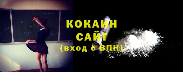гидра Абаза