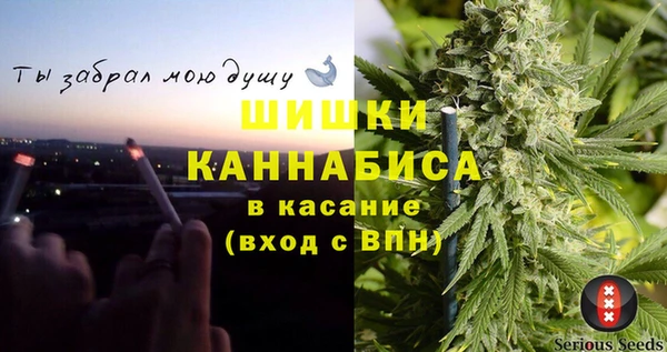 гидра Абаза