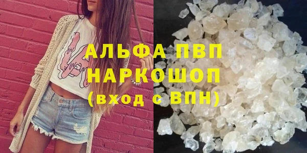 гидра Абаза