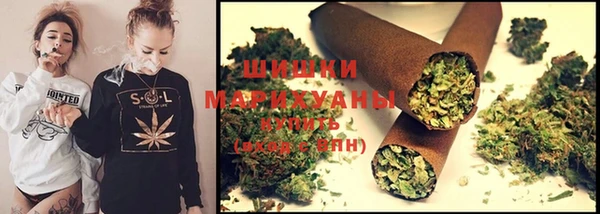 гидра Абаза