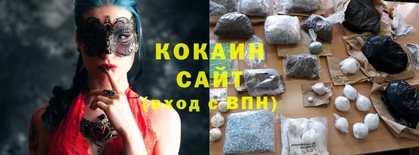 гидра Абаза