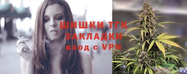 гидра Абаза