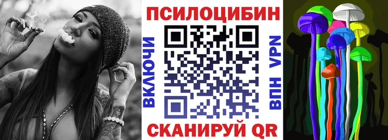 Галлюциногенные грибы GOLDEN TEACHER  купить наркотик  Шенкурск 